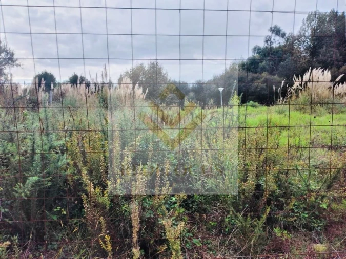 Terreno para Venda em Santa Maria de Lamas Foto 4