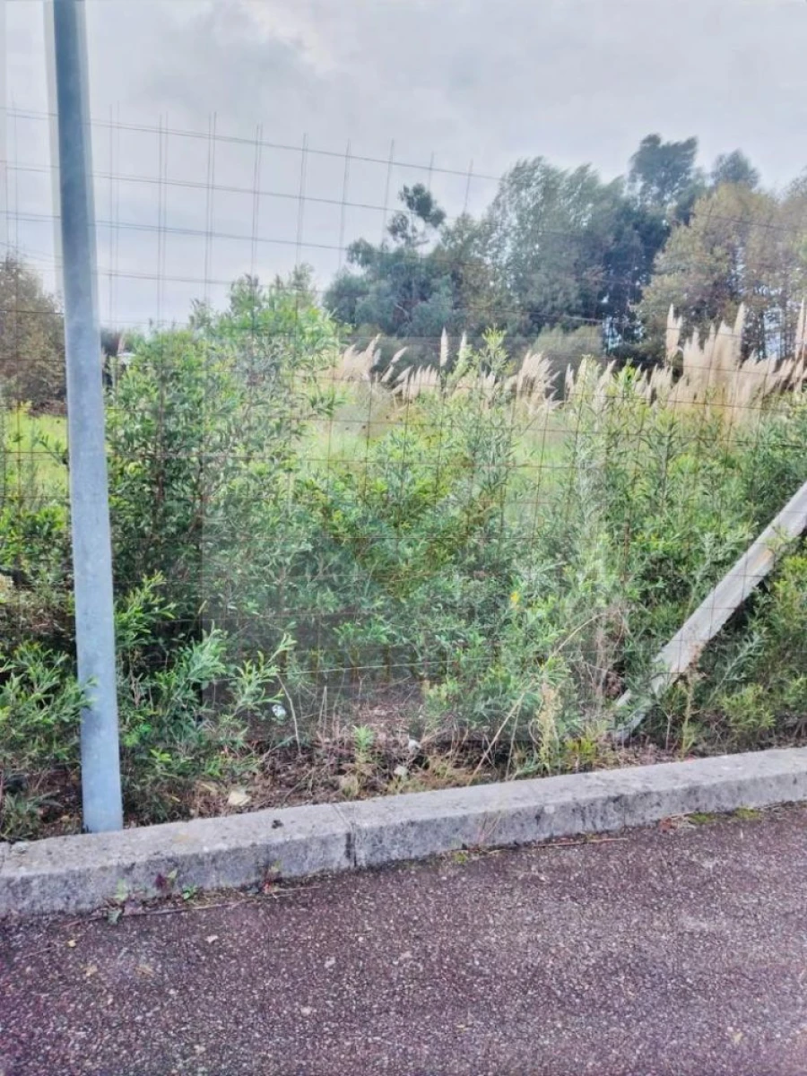 Terreno para Venda em Santa Maria de Lamas Foto 6