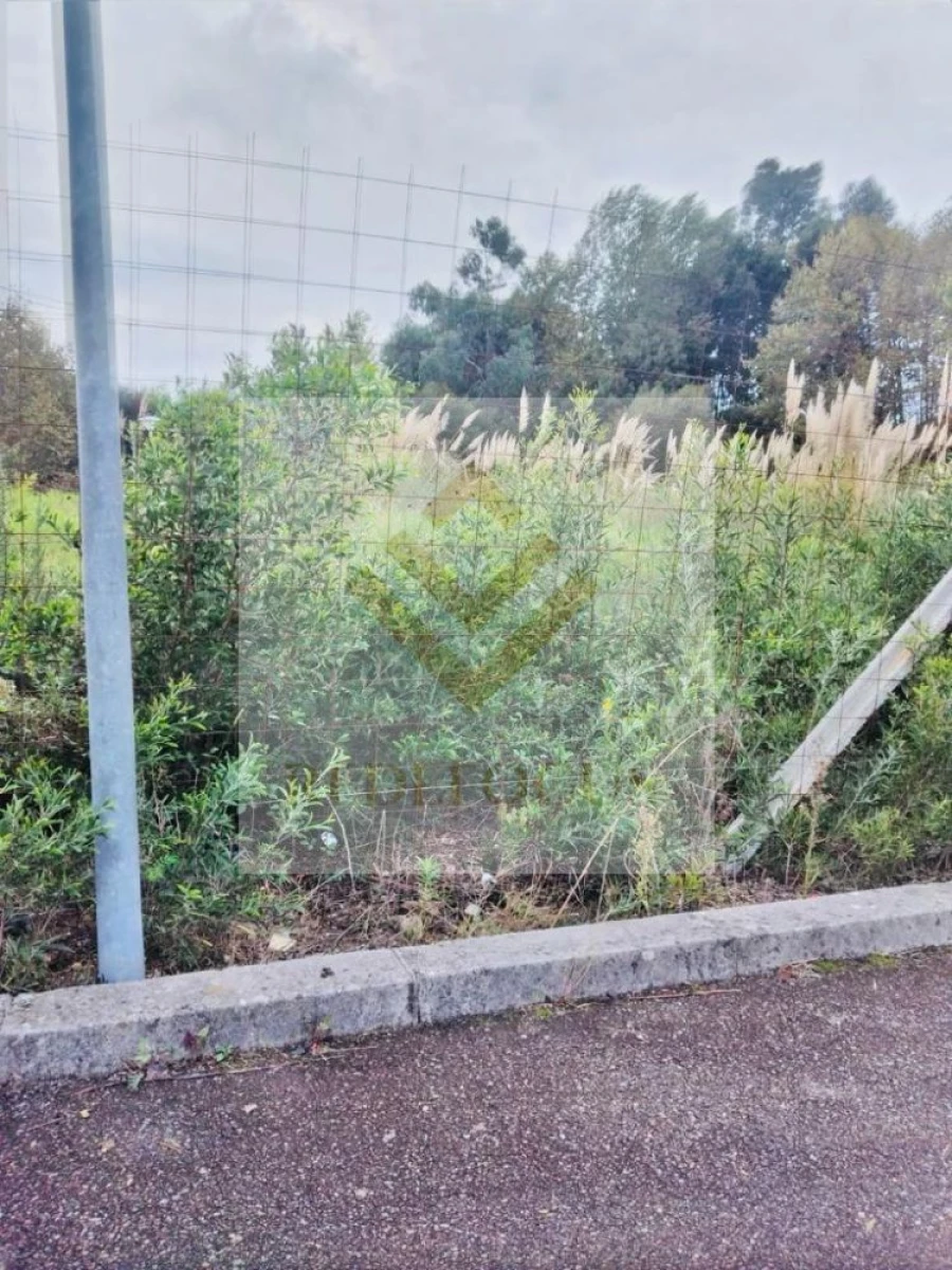 Terreno para Venda em Santa Maria de Lamas Foto 6