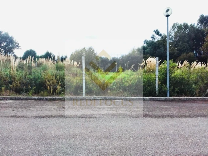 Terreno para Venda em Santa Maria de Lamas Foto 3