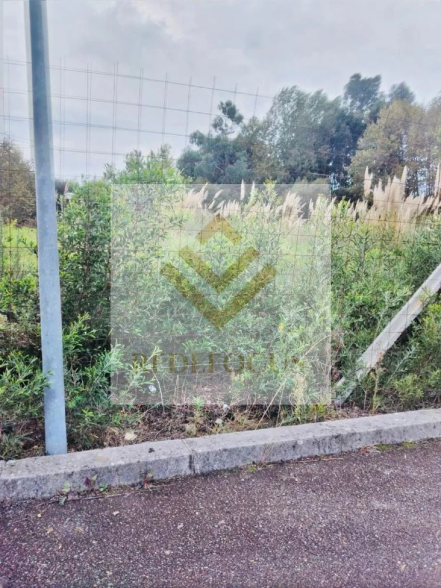 Terreno para Venda em Santa Maria de Lamas Foto 6