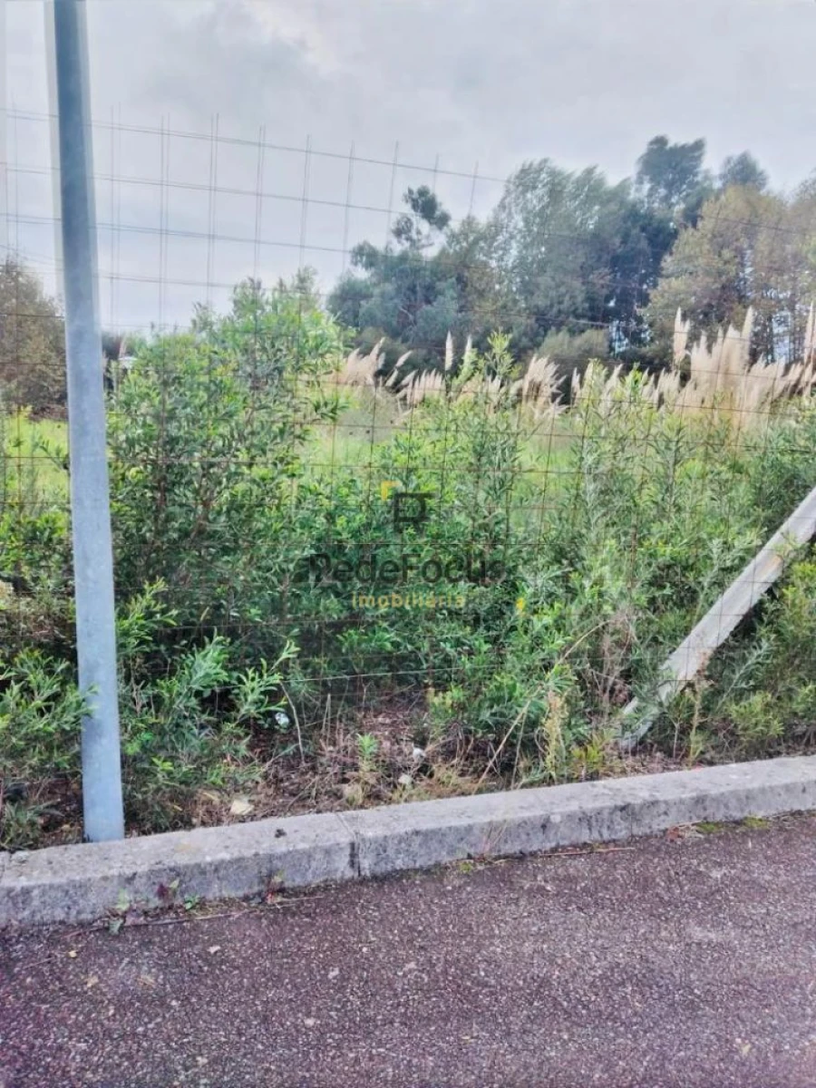 Terreno para Venda em Santa Maria de Lamas Foto 6