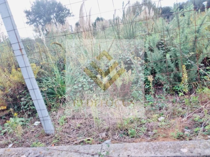 Terreno para Venda em Santa Maria de Lamas Foto 5