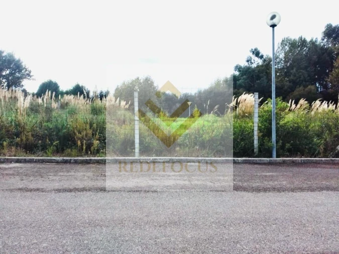 Terreno para Venda em Santa Maria de Lamas Foto 3