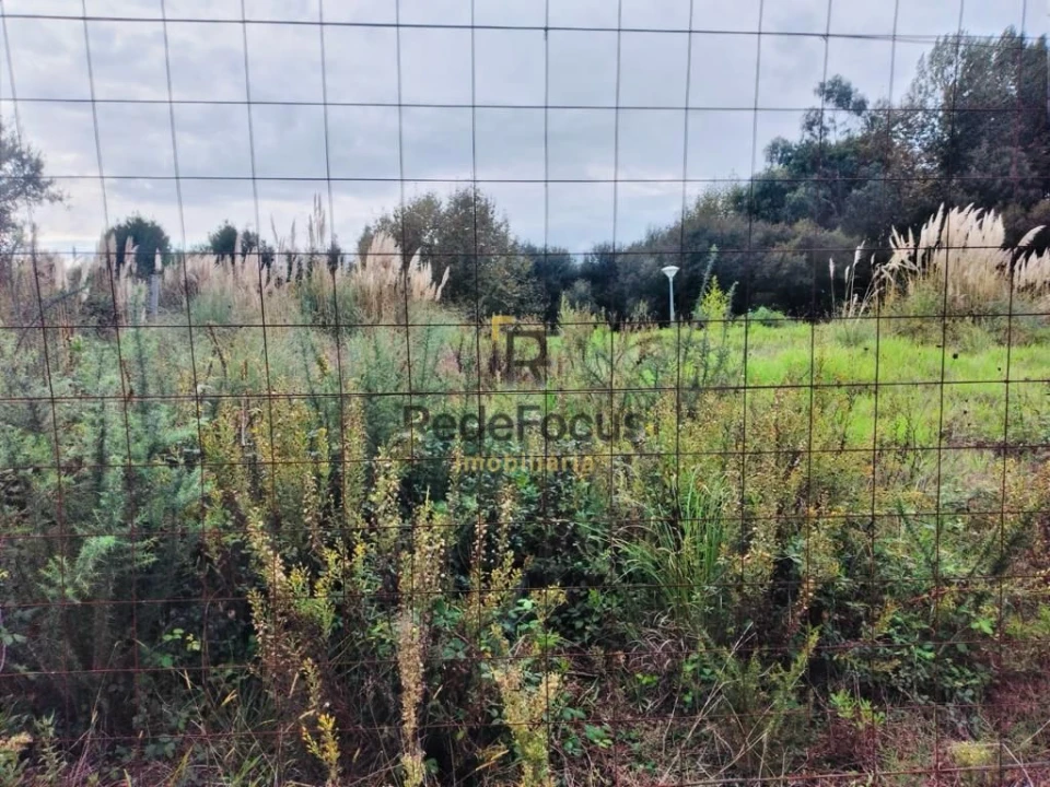 Terreno para Venda em Santa Maria de Lamas Foto 4