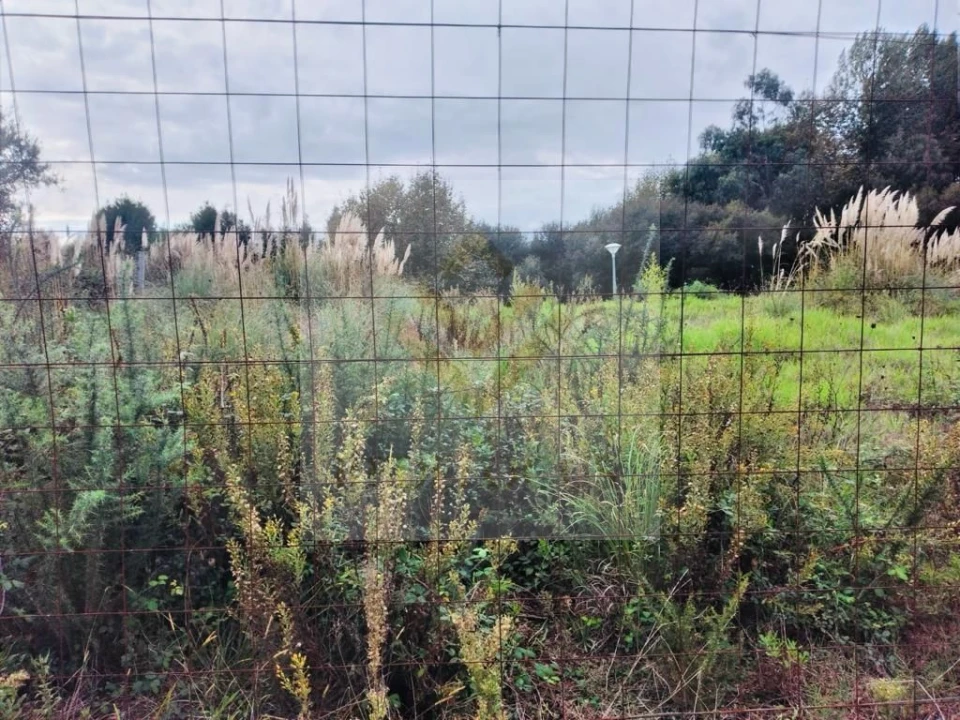 Terreno para Venda em Santa Maria de Lamas Foto 4