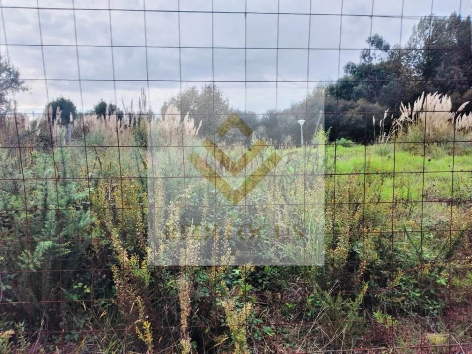 Terreno para Venda em Santa Maria de Lamas Foto 4