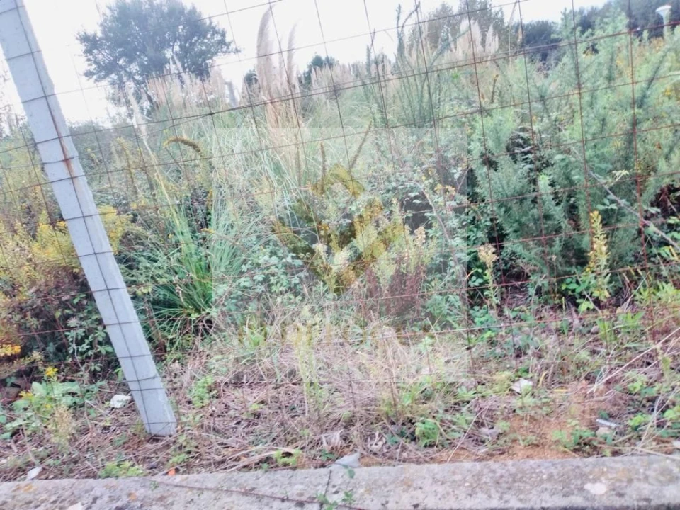 Terreno para Venda em Santa Maria de Lamas Foto 5