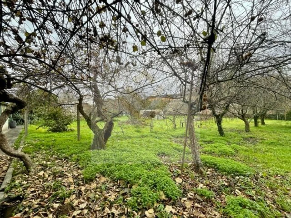 Moradia T3 para Venda em Oliveira do Douro Foto 33
