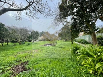 Moradia T3 para Venda em Oliveira do Douro