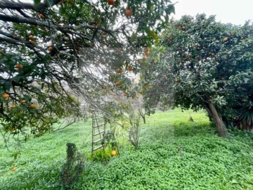 Moradia T3 para Venda em Oliveira do Douro