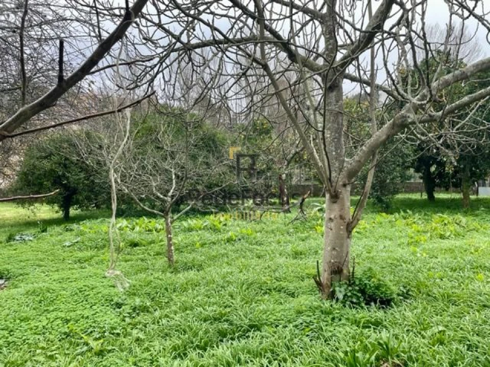 Moradia T3 para Venda em Oliveira do Douro Foto 38