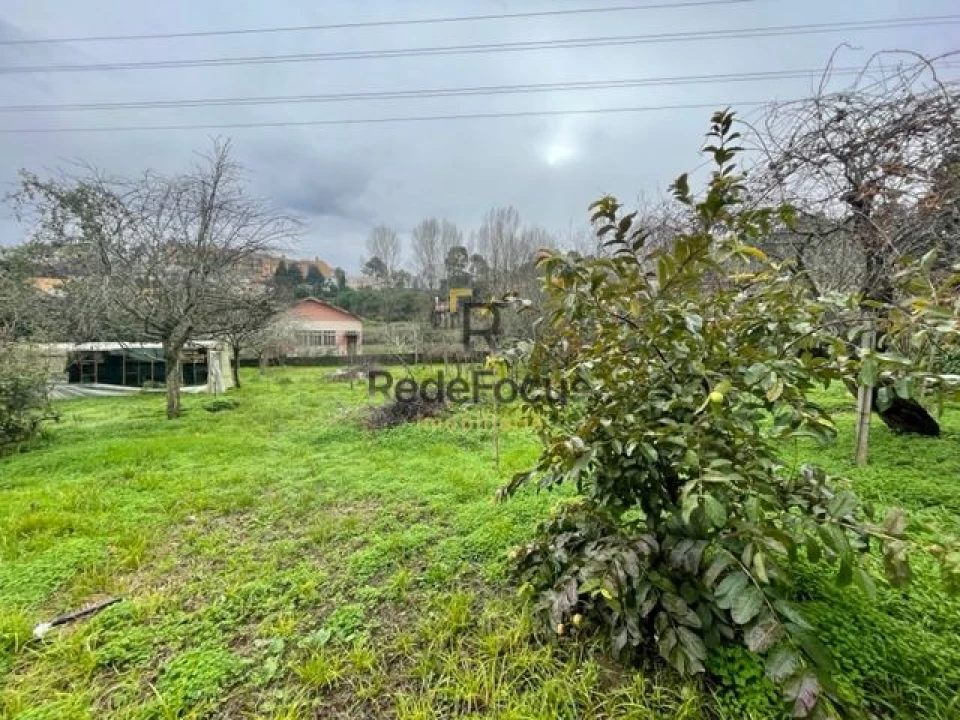 Moradia T3 para Venda em Oliveira do Douro Foto 34