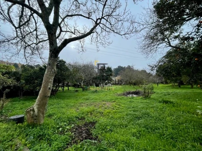 Moradia T3 para Venda em Oliveira do Douro Foto 40