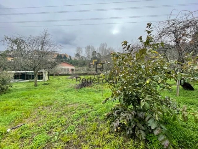 Moradia T3 para Venda em Oliveira do Douro Foto 34