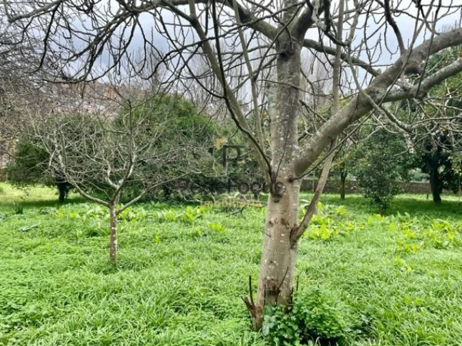 Moradia T3 para Venda em Oliveira do Douro Foto 30