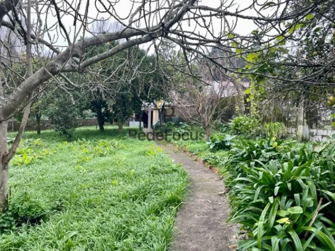 Moradia T3 para Venda em Oliveira do Douro Foto 28