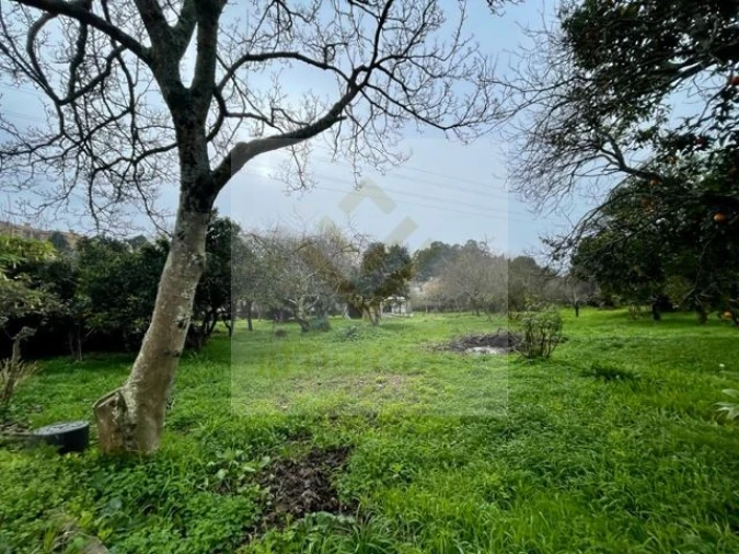 Moradia T3 para Venda em Oliveira do Douro Foto 40