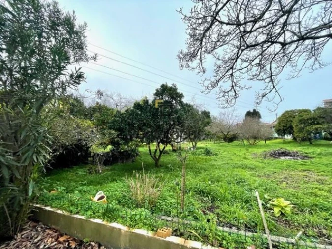 Moradia T3 para Venda em Oliveira do Douro Foto 26