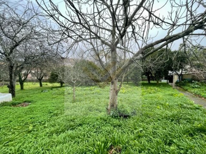 Moradia T3 para Venda em Oliveira do Douro Foto 29