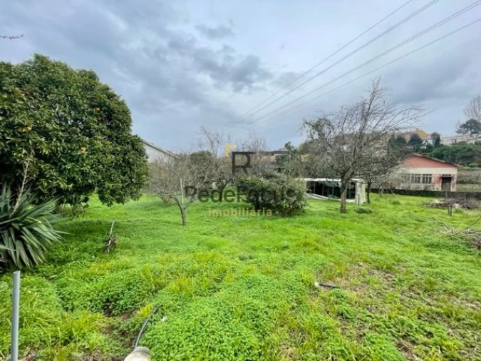 Moradia T3 para Venda em Oliveira do Douro Foto 35