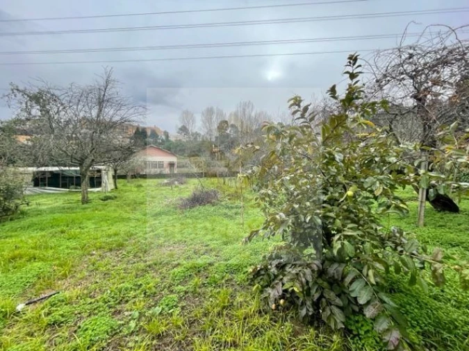 Moradia T3 para Venda em Oliveira do Douro Foto 34