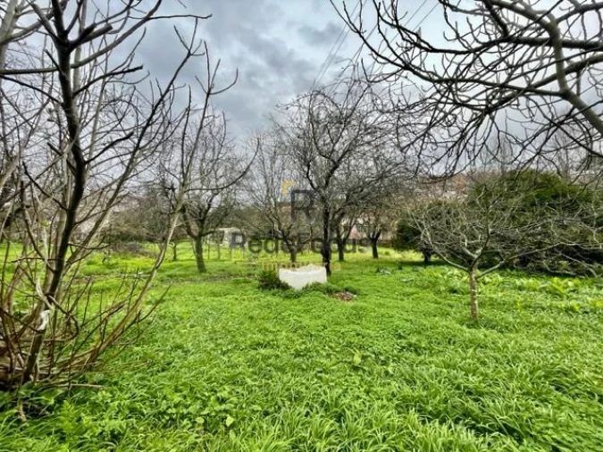 Moradia T3 para Venda em Oliveira do Douro Foto 32