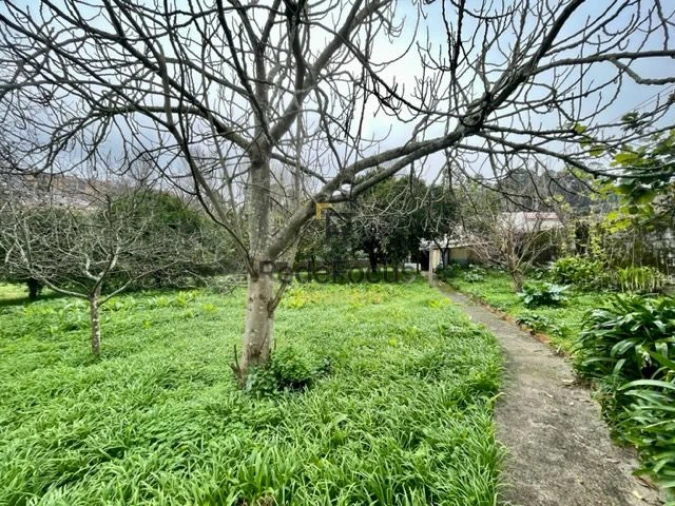 Moradia T3 para Venda em Oliveira do Douro Foto 31