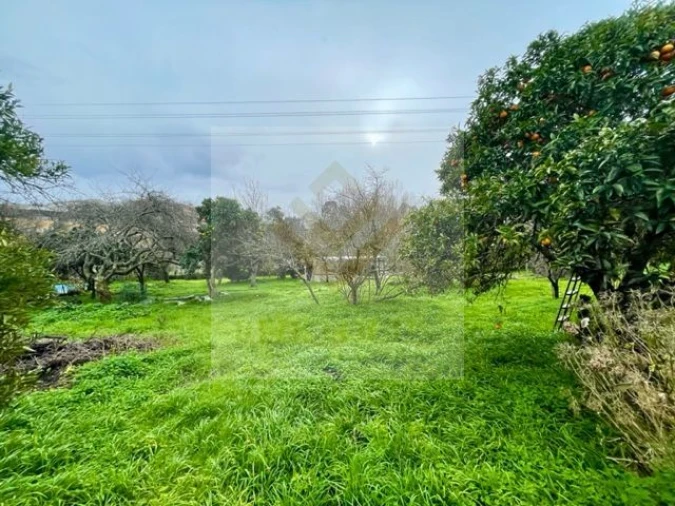 Moradia T3 para Venda em Oliveira do Douro Foto 39