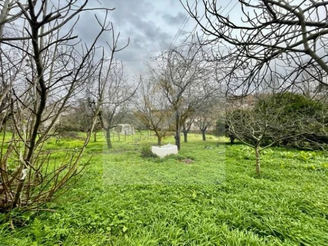 Moradia T3 para Venda em Oliveira do Douro Foto 32