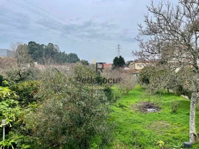 Moradia T3 para Venda em Oliveira do Douro Foto 42