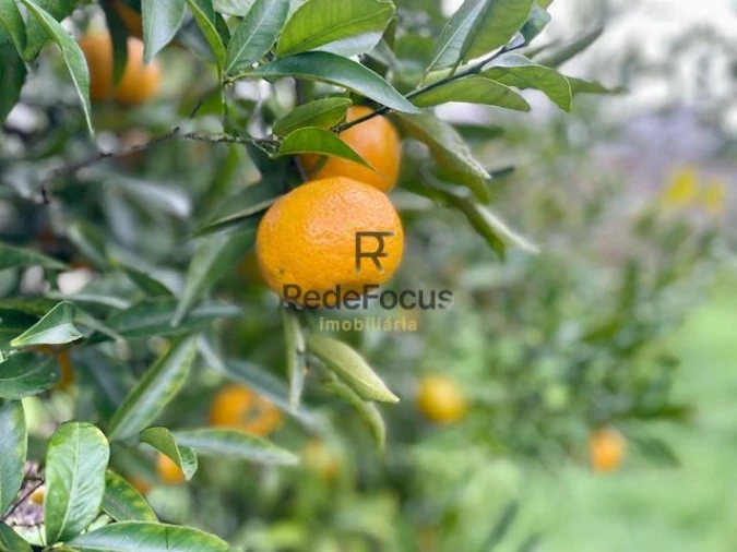 Moradia T3 para Venda em Oliveira do Douro Foto 37