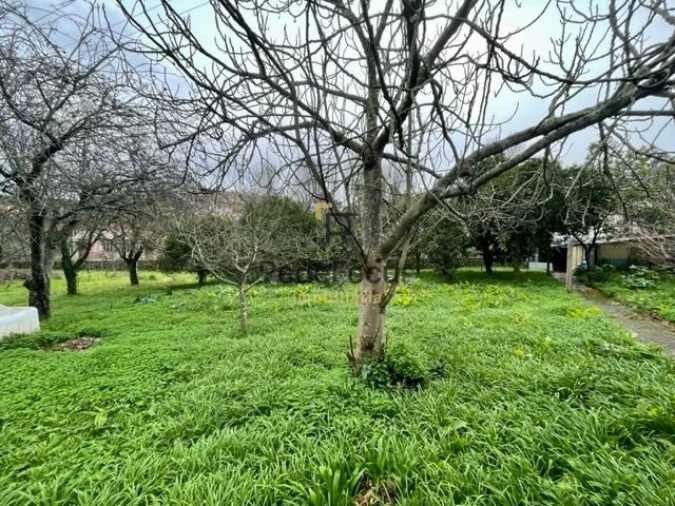 Moradia T3 para Venda em Oliveira do Douro Foto 29