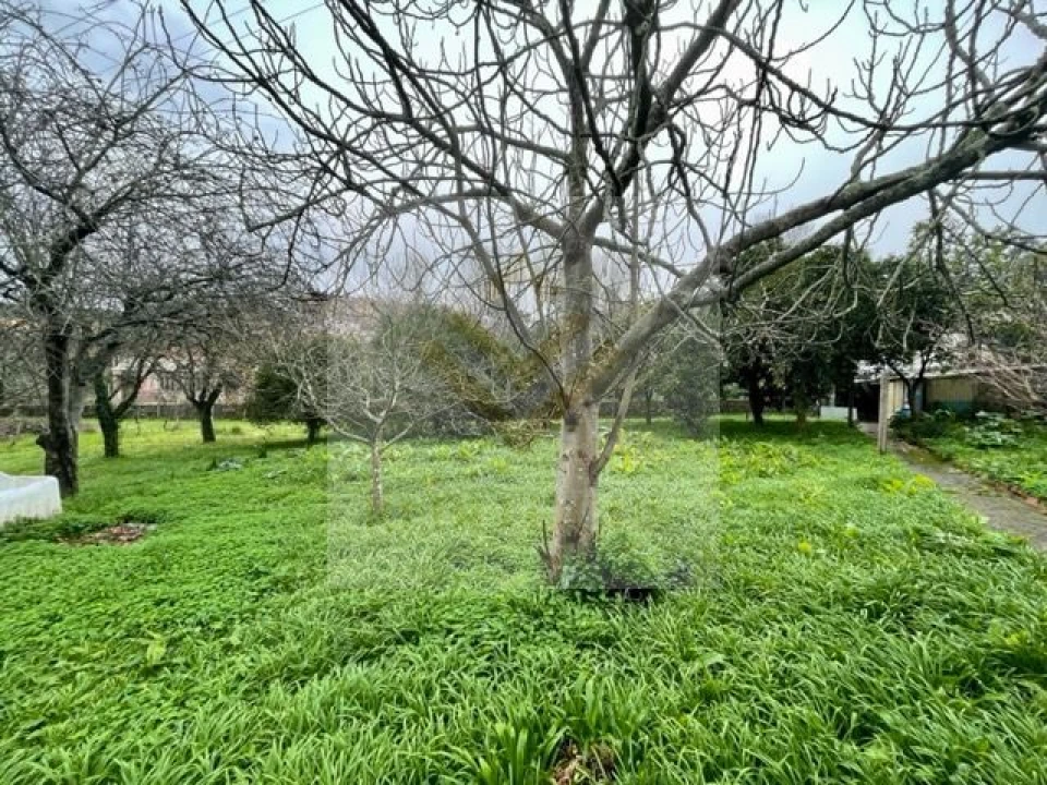 Moradia T3 para Venda em Oliveira do Douro Foto 29
