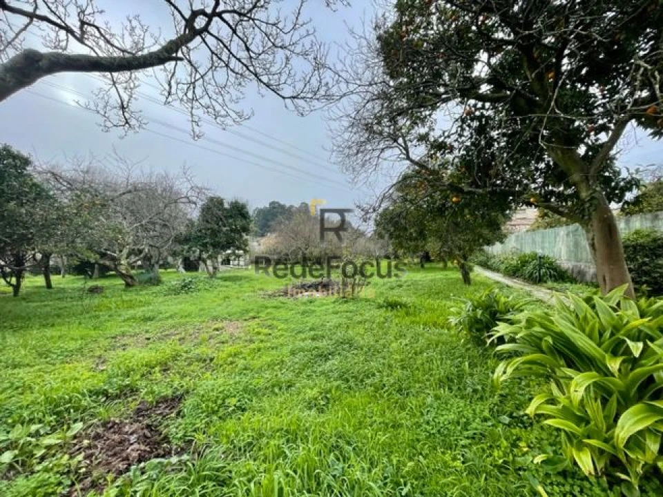 Moradia T3 para Venda em Oliveira do Douro Foto 41