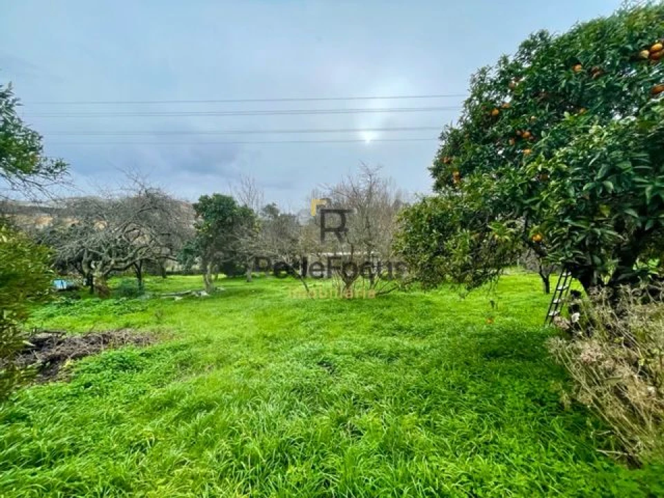 Moradia T3 para Venda em Oliveira do Douro Foto 39