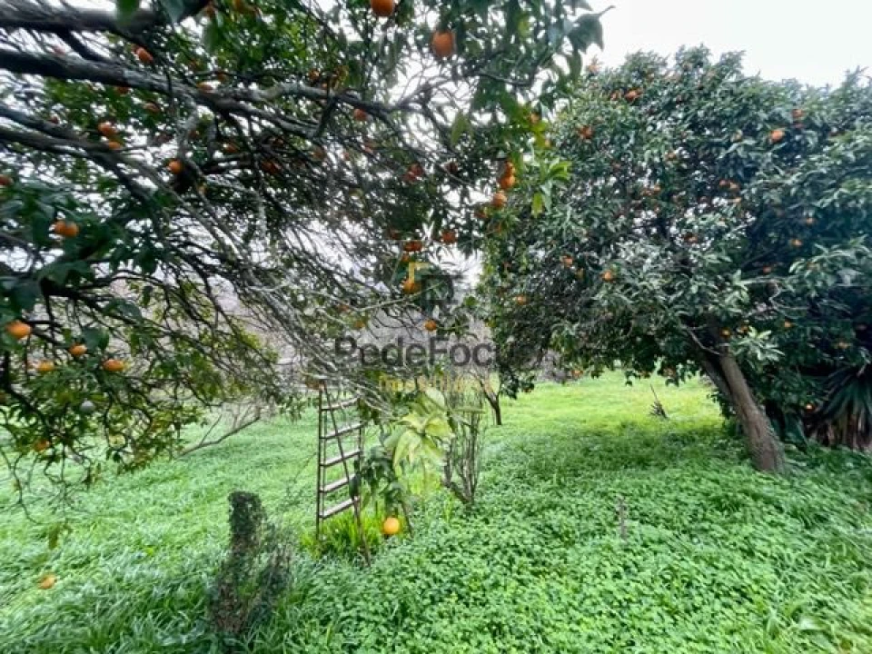 Moradia T3 para Venda em Oliveira do Douro Foto 36