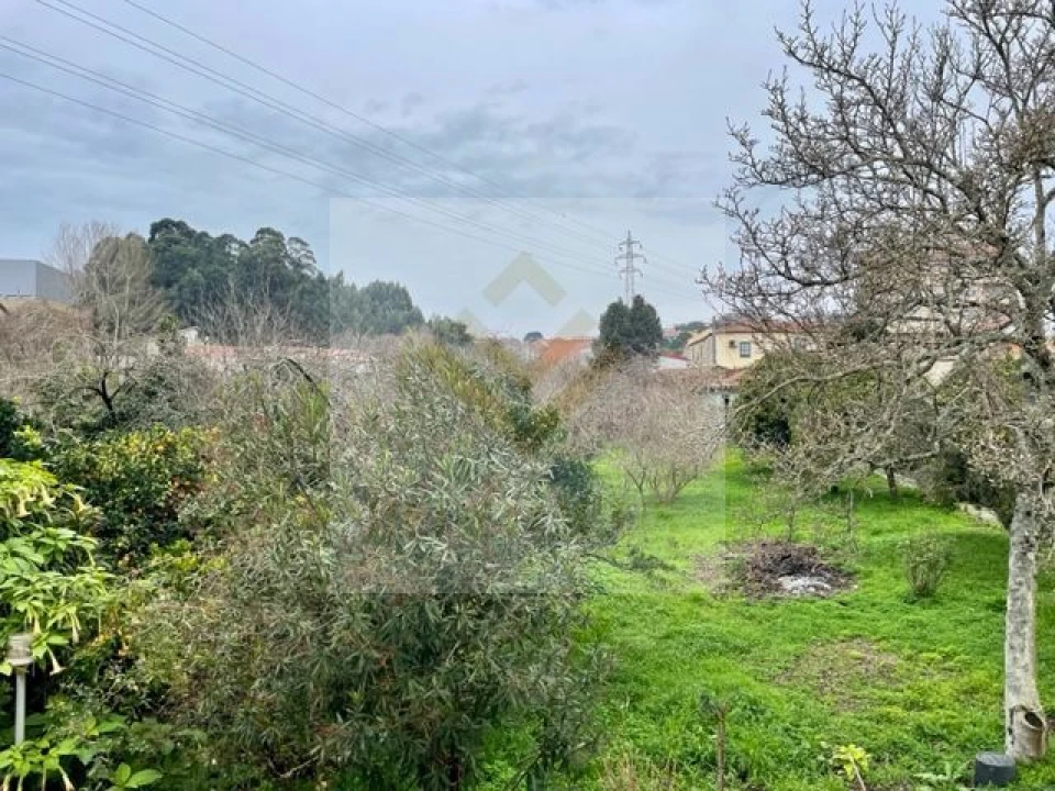 Moradia T3 para Venda em Oliveira do Douro Foto 42