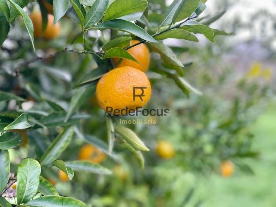 Moradia T3 para Venda em Oliveira do Douro Foto 37