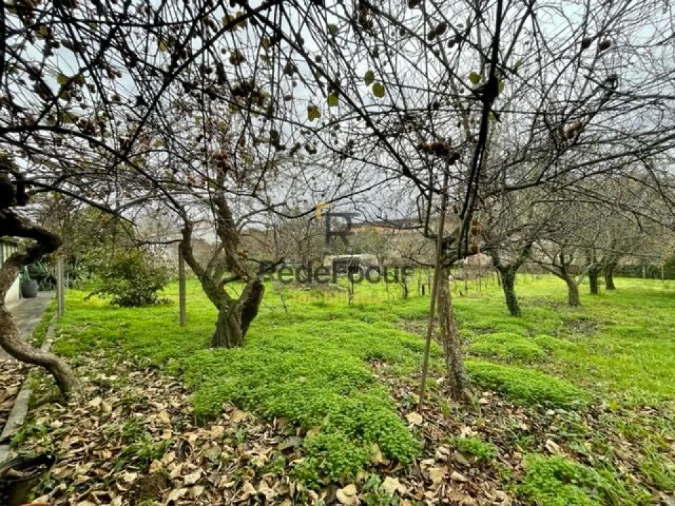 Moradia T3 para Venda em Oliveira do Douro Foto 33