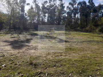 Loja para Venda em São Roque