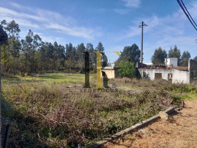 Loja para Venda em São Roque