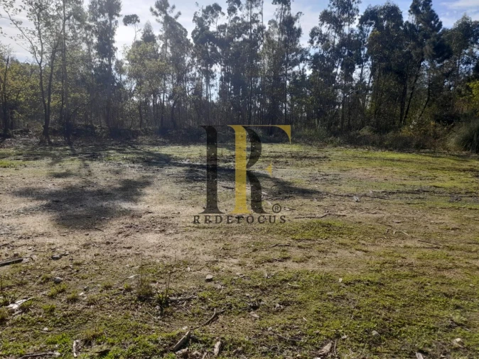 Loja para Venda em São Roque Foto 3