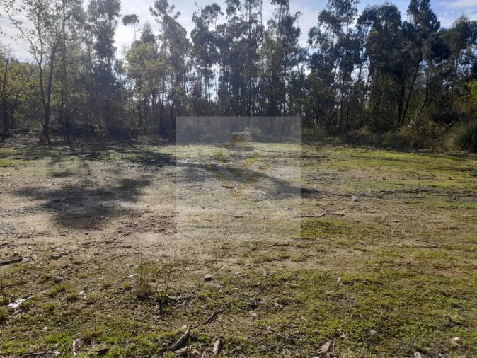Loja para Venda em São Roque Foto 3