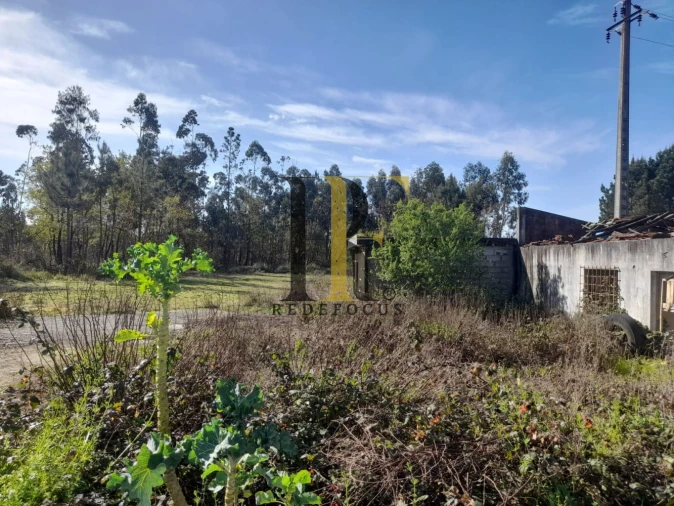 Loja para Venda em São Roque Foto 9