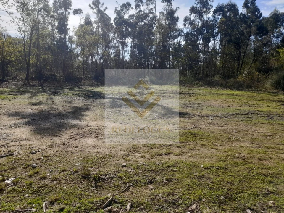 Loja para Venda em São Roque Foto 3