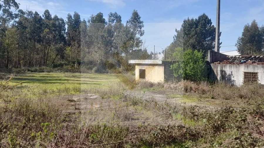 Loja para Venda em São Roque