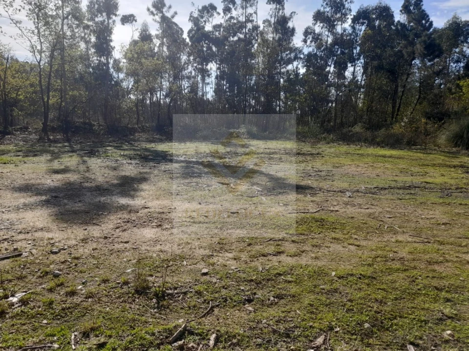 Loja para Venda em São Roque Foto 3