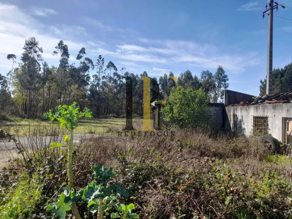 Loja para Venda em São Roque Foto 9