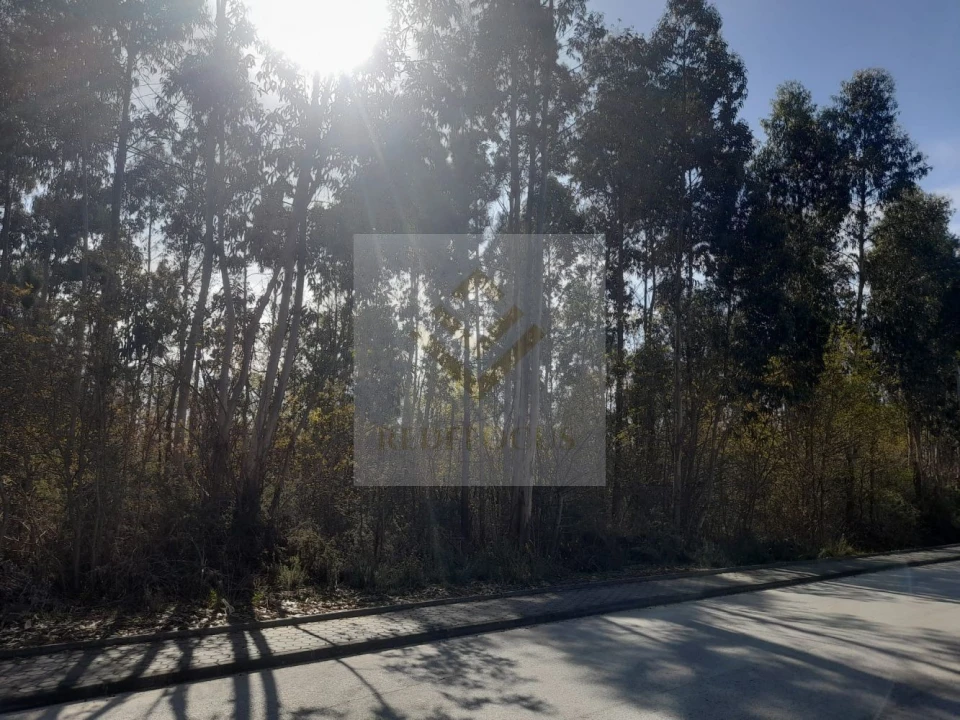 Terreno para Venda em São Roque Foto 3